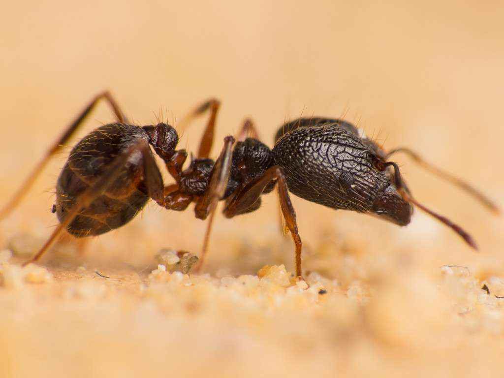 Diese Soldatin stand etwas abseits herum und schaute  den anderen bei der Arbeit zu. Aber dafür konnte ich sie sehr gut von der Seite fotografieren.