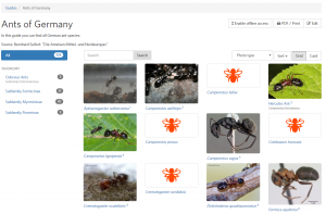 Der Guide "Ants of Germany" auf iNaturalist.org