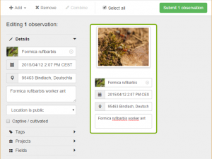 Das Formular zum Erfassen einer neuen Beobachtung auf iNaturalist