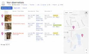 Die Liste der eigenen Beobachtungen auf iNaturalist