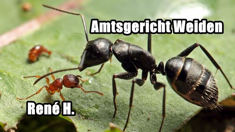 Symbolhafte Darstellung des Gerichtsverfahrens