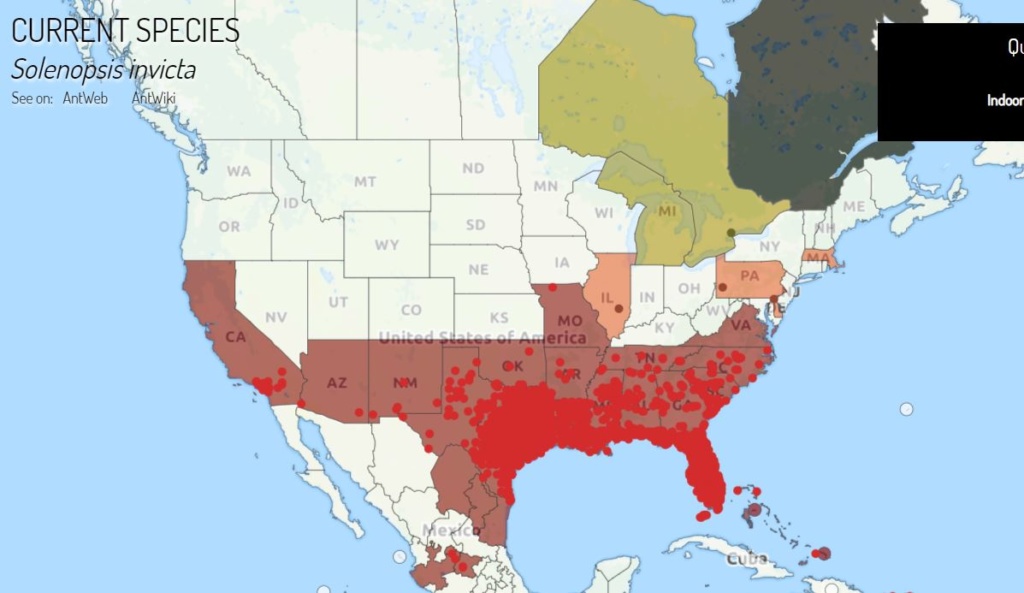 Verbreitung von Solenopsis invicta in den USA Quelle: antmaps