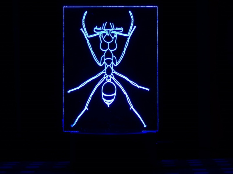 Ameisen LED Lampe