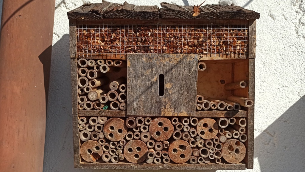 Ein an der Wand hängendes Bienenhotel. Teile davon wurden von einem unbekannten Tier ausgeräumt, man sieht größere Lücken.