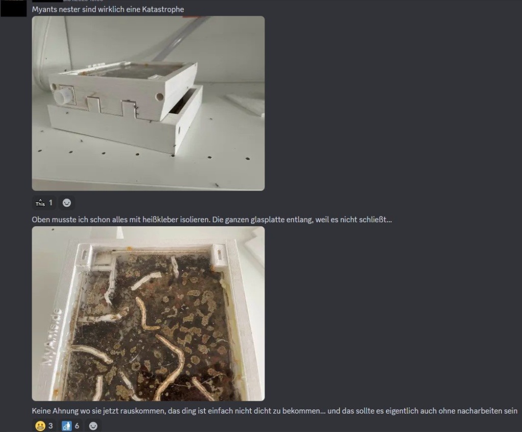 Screenshot aus einem Discordserver, welcher ein Nest von MyAnts zeigt und wie Ameisen daraus entkommen sind. Das zweite Bild zeigt, wie der Halter das Nest mit Heißkleber ausbruchssicher gemacht hat.