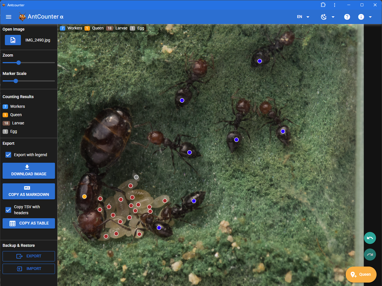 Screenshot der AntCounter WebApp.